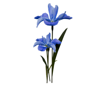 Rare Flower node - RareFlowerDropped Jackson