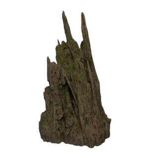 Sap node - Stump