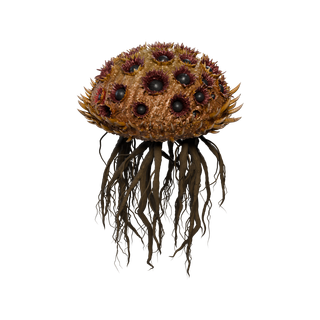 Nó de Cogumelo Raro - ScorpionRoot A
