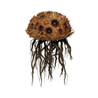 Nó de Cogumelo Raro - ScorpionRoot B