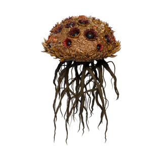 Nó de Cogumelo Raro - ScorpionRoot C