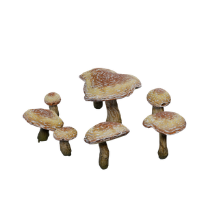 Nó de Cogumelo Raro - SmallCave FungusBlue SM