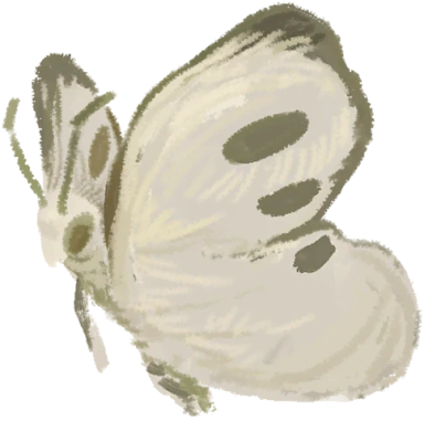 Schneeflatterer
