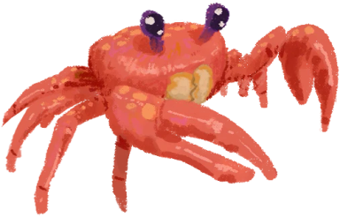 沙钳蟹