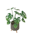 Planter Size2 Tripod