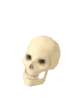 Festivities Skull