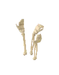 Festivities Skeleton Hands