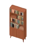Bookshelf Mid Century Bottom Door