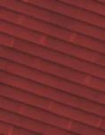 General Store Roof1