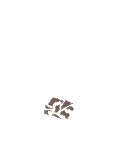 皮革碎片