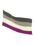 Bandiera Pride da parete ricolorabile4