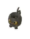 Kitchen Cup Cat