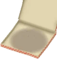 Steps Pizza Box