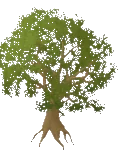 Tree Plaza