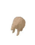 Misc Bear
