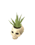 Planter Size1 Skull