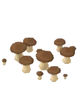 Mushroom King Trumpet