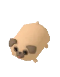 Plush Pug