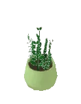Plant ZZ