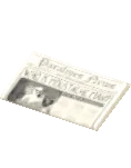 Journal plié propre