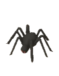Festivities Spider