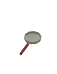Health Magnifier
