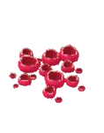 Copica escarlata