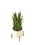 Plant Snake