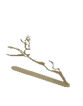 Misc Deer Cutout