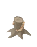キノコ カワラタケ
