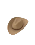 Cappello da cowboy piatto