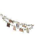 Wall Vine Photos