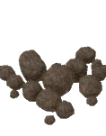 Tartufo