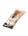 Cushion Body Toshio
