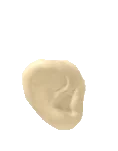 Tuhaflıklar Duvar Kulağı