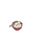 Sucre en morceaux