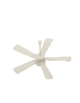 Ceiling Fan Thrifted