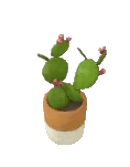 Cacto palma