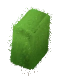 Kurtbağrı Çit Ağacı