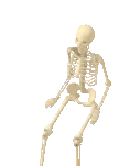 Festivities Skeleton