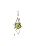 Collana di monete sospesa