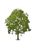 Acero