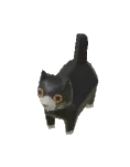 Tuhaflıklar Mistik Kedi