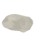 Rock Stepping Stone2