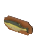 壁掛鱸魚