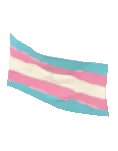 Wall Flag Pride Trans