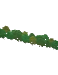 Tree Bill Board