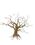 Tree Oak Old