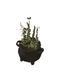 Planter Size1 Cauldron
