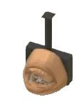 Mouth